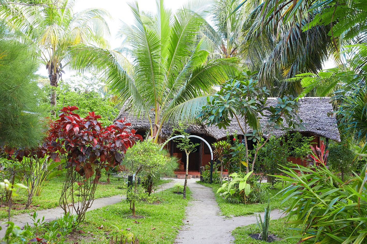 Analatsara-Ecolodge-AMBATOMASINA-002